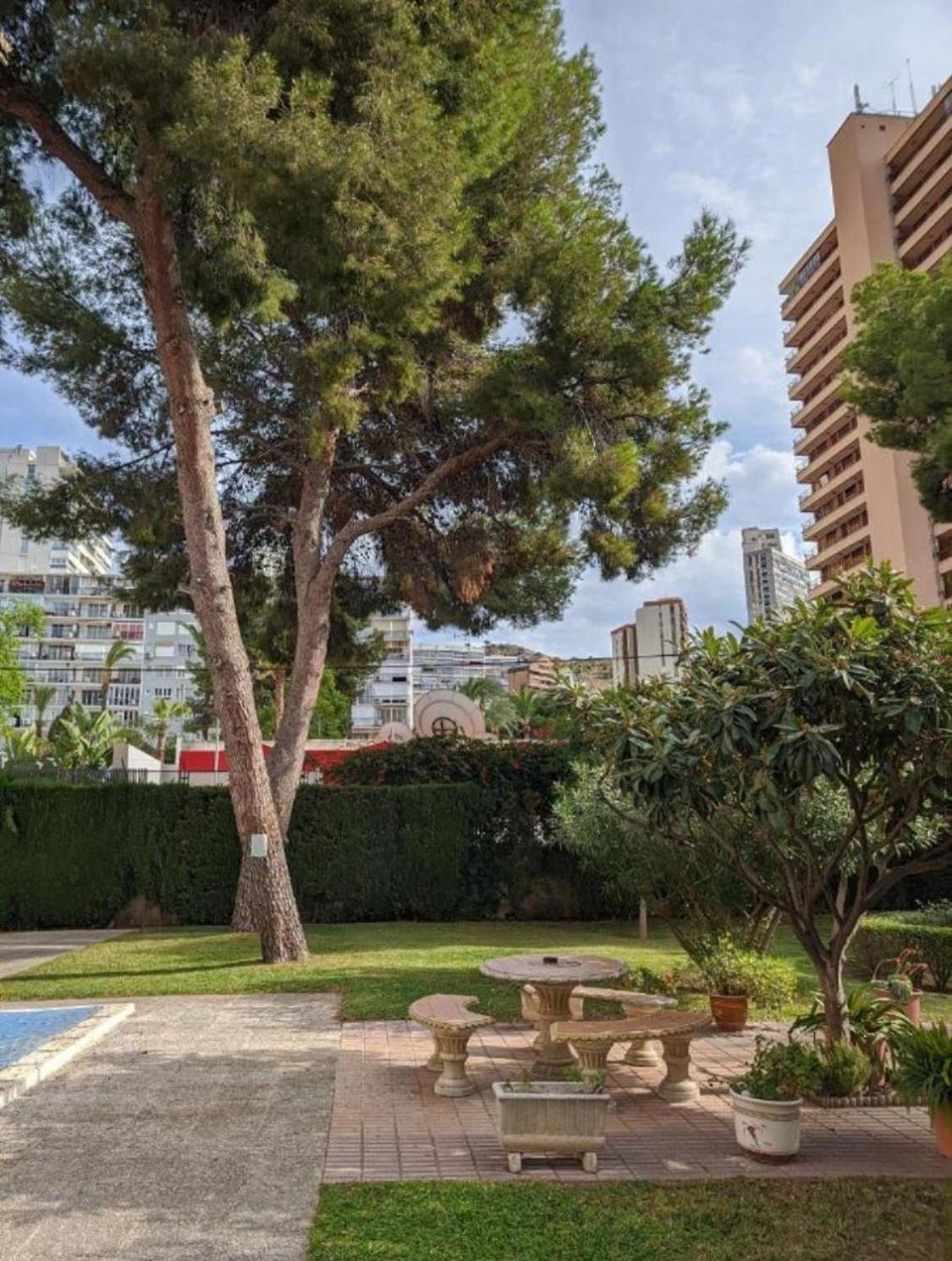 Apto San Angelo Benidorm Vistas Al Mar 400 M Экстерьер фото